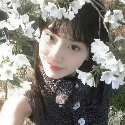 贪婪2019